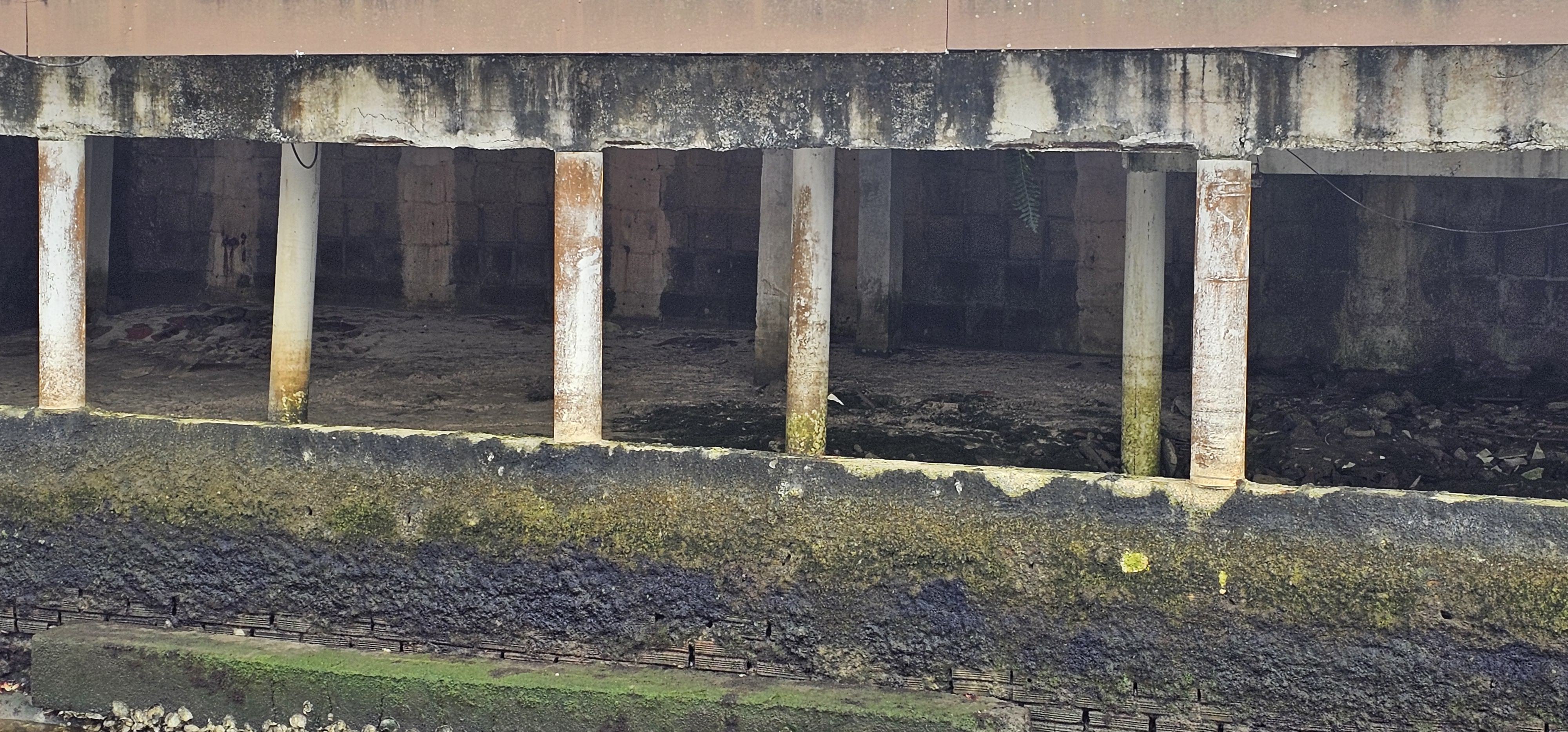 Vistoria técnica - registro