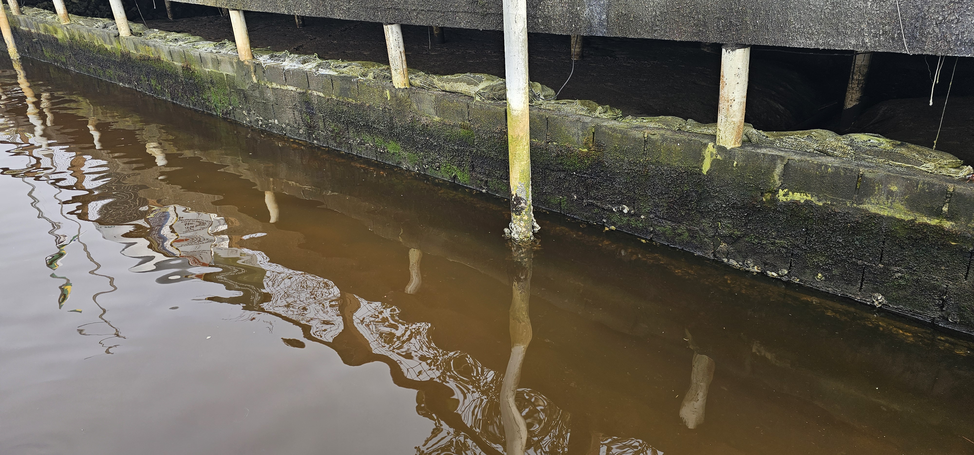 Vistoria técnica - registro