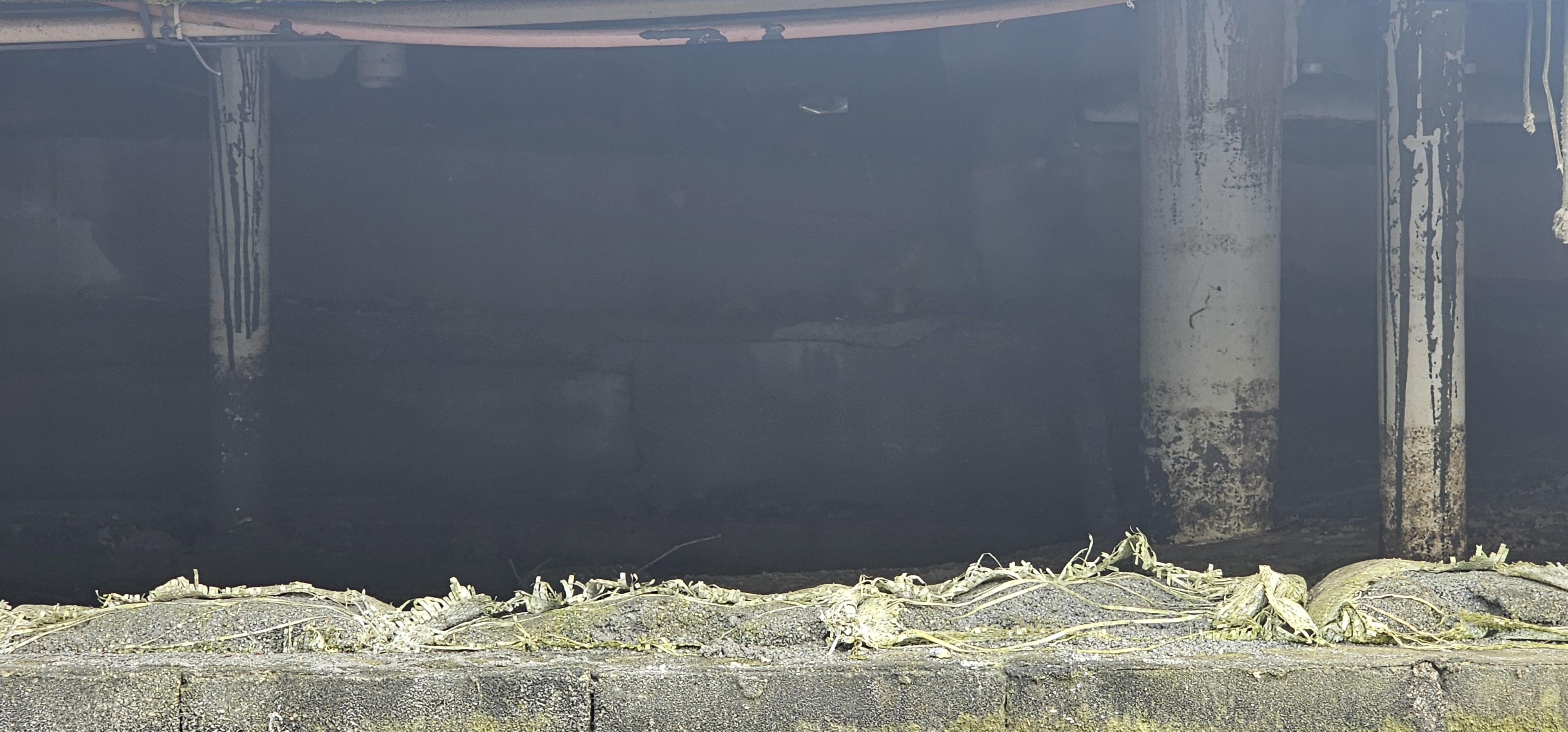 Vistoria técnica - registro